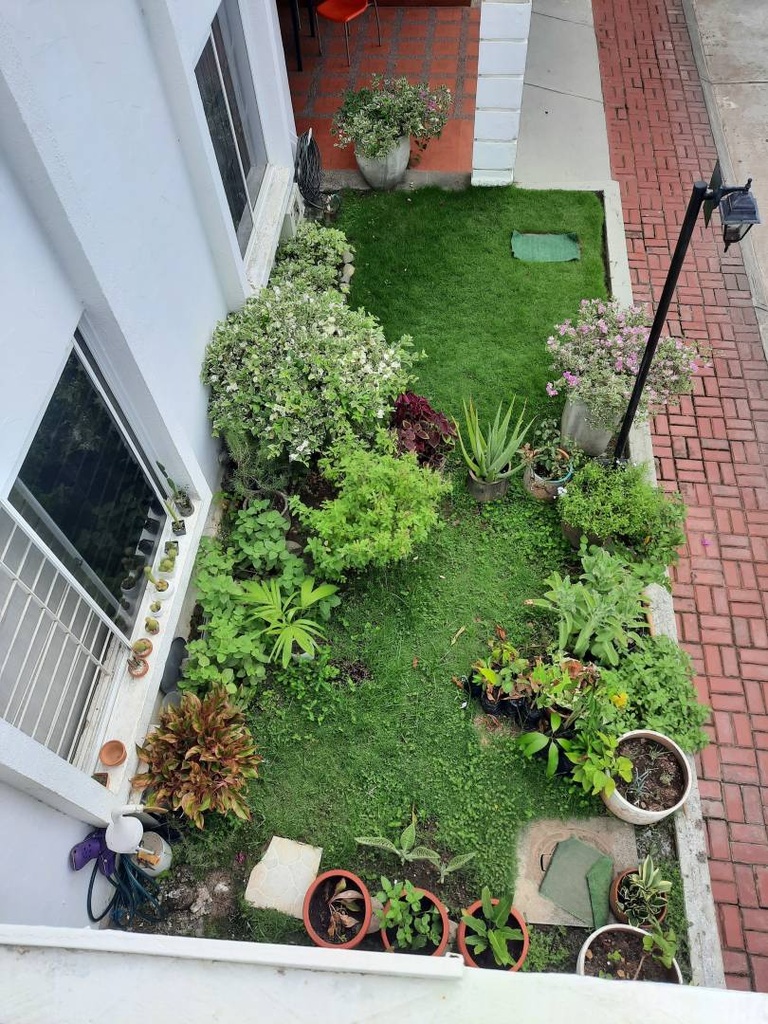 Foto 4 - Prop 7753