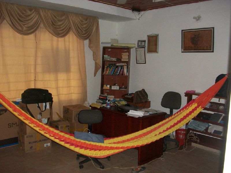Foto 10