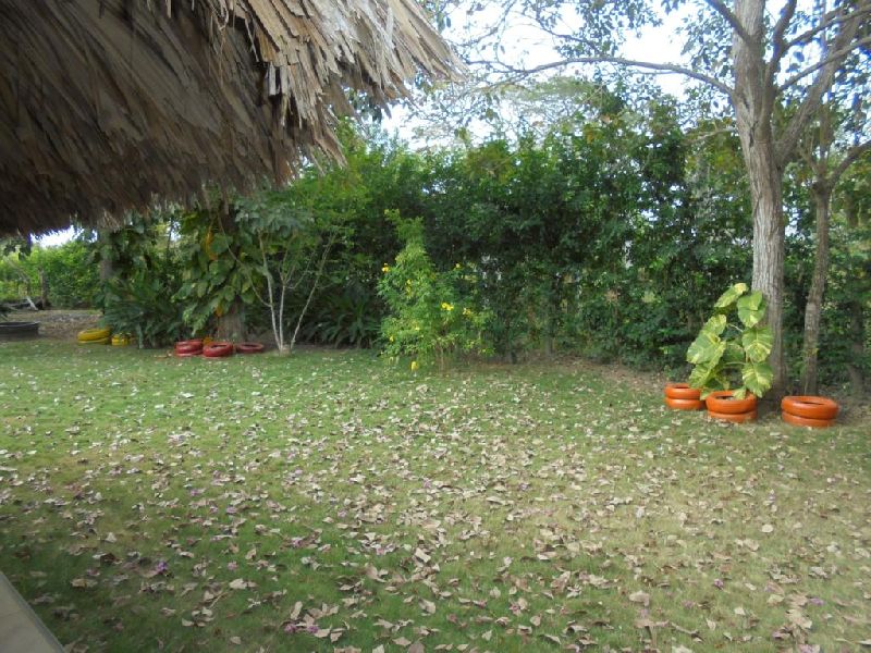 Foto 13