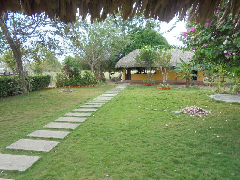 Foto 14