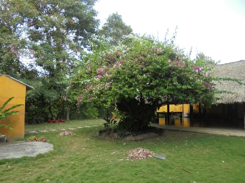 Foto 15