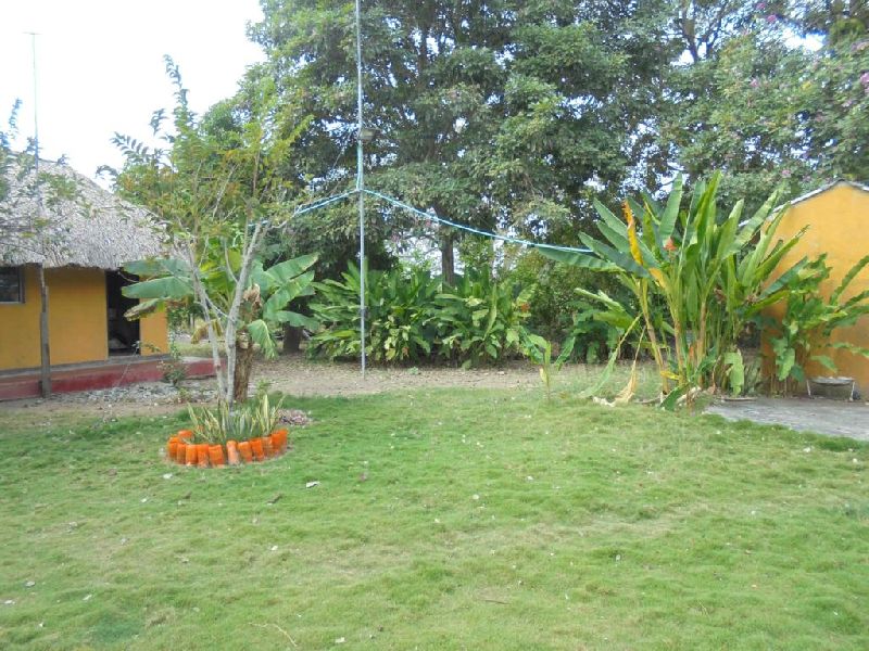 Foto 16