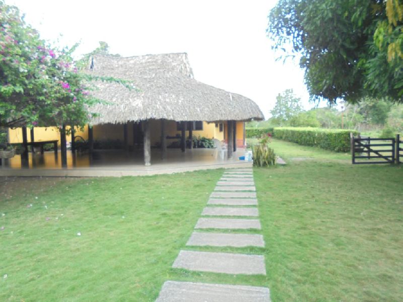 Foto 18