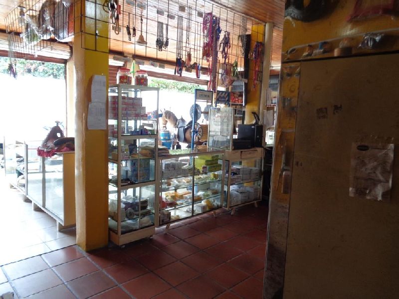 Foto 7