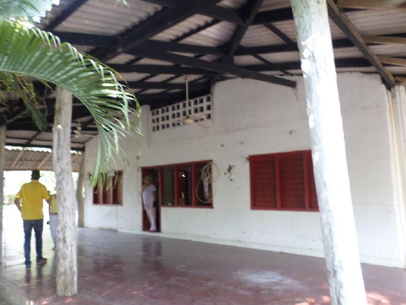 Foto 5