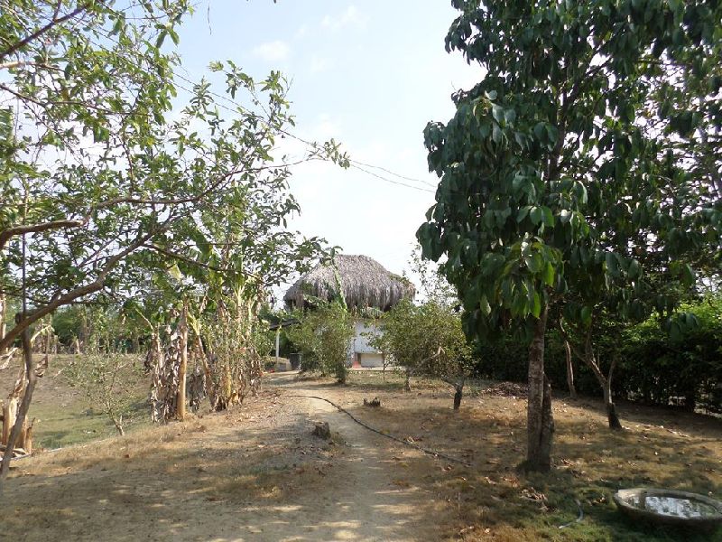 Foto 18