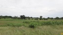 Foto 33