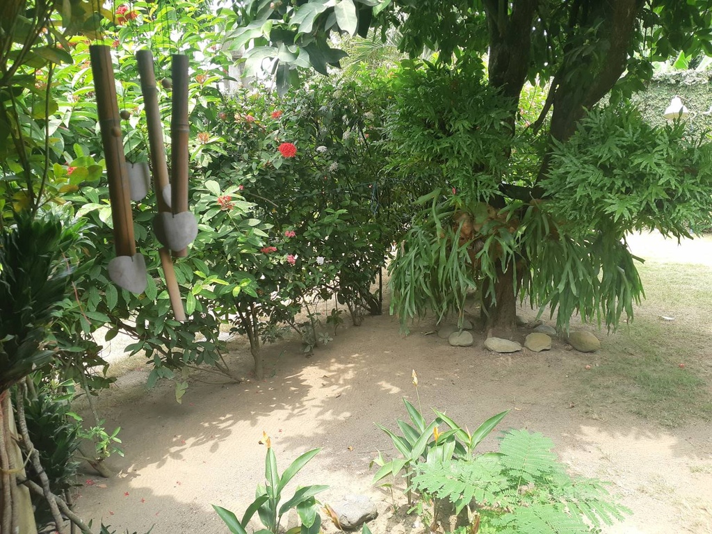 Foto 14