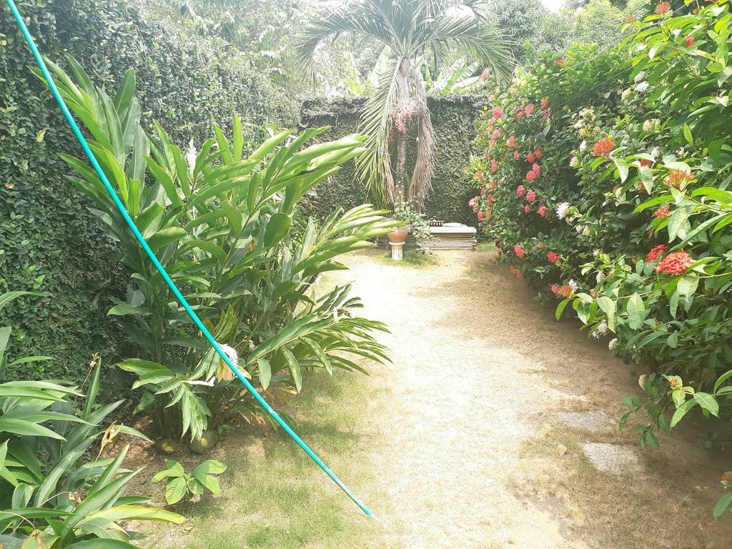 Foto 17