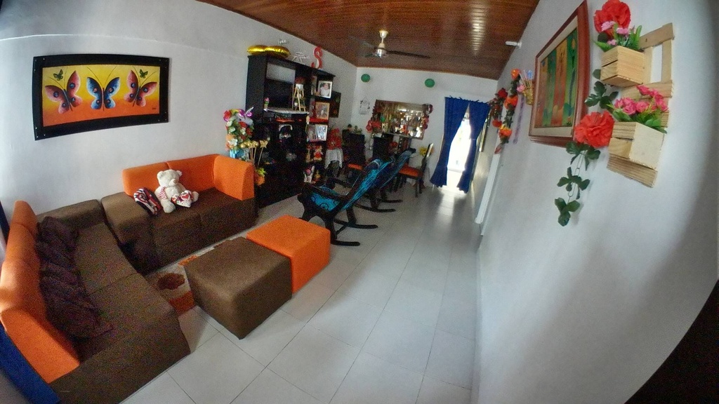 Foto 7