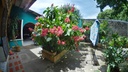 Foto 24