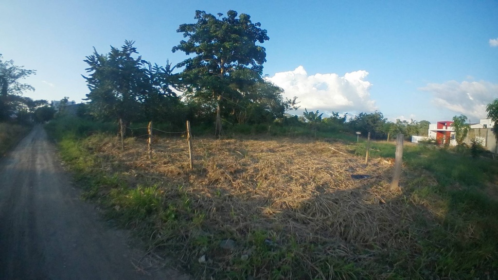 Foto 6