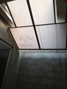 Foto 41