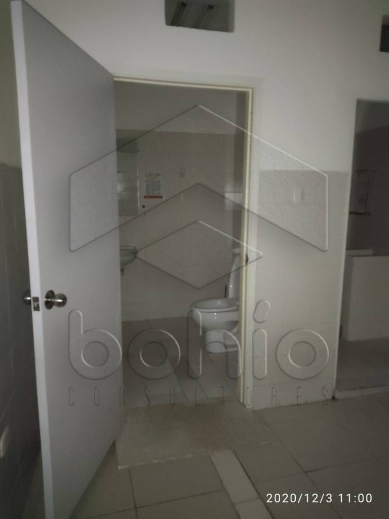 Foto 19