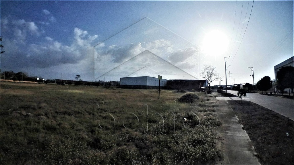 Foto 14