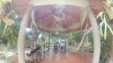 Foto 19