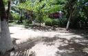Foto 38