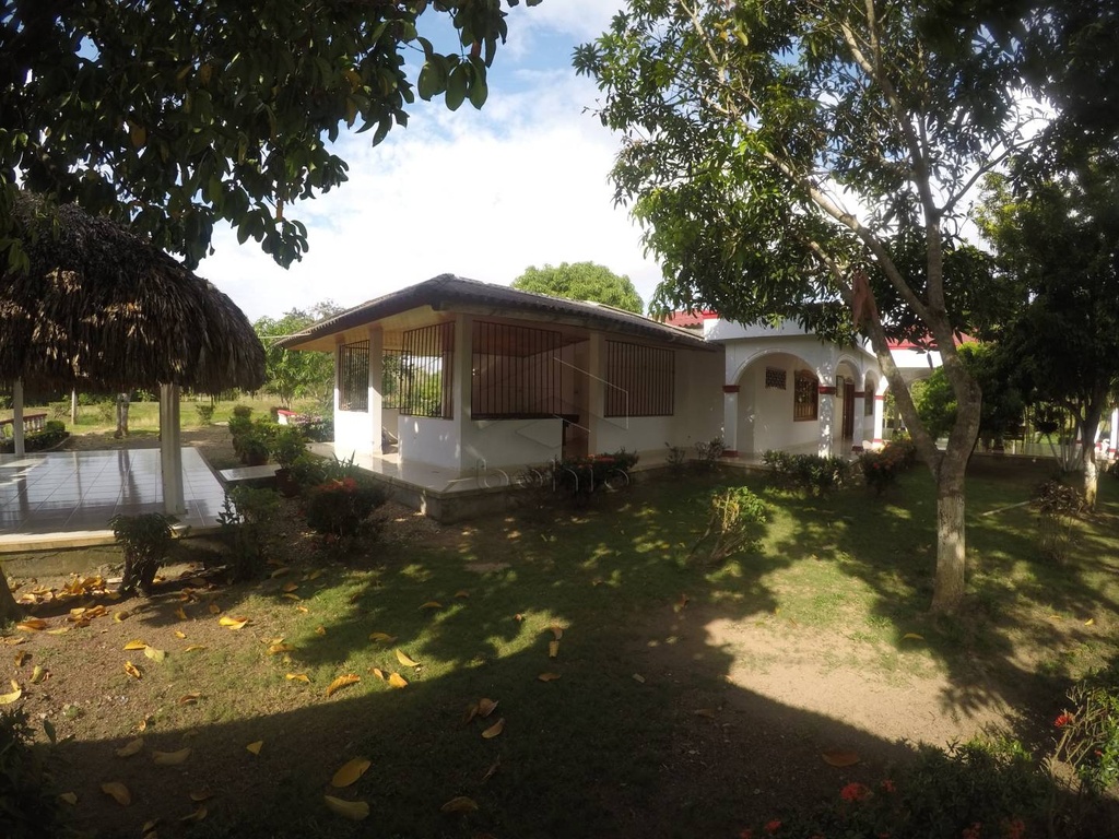 Foto 8