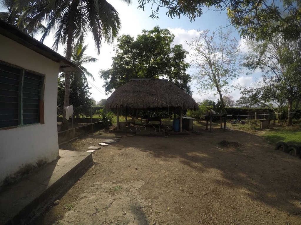 Foto 10