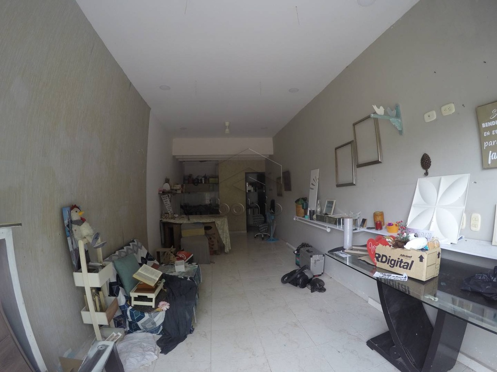 Foto 19