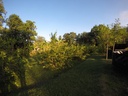 Foto 44