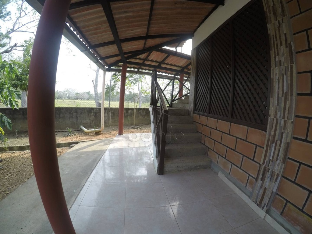 Foto 15