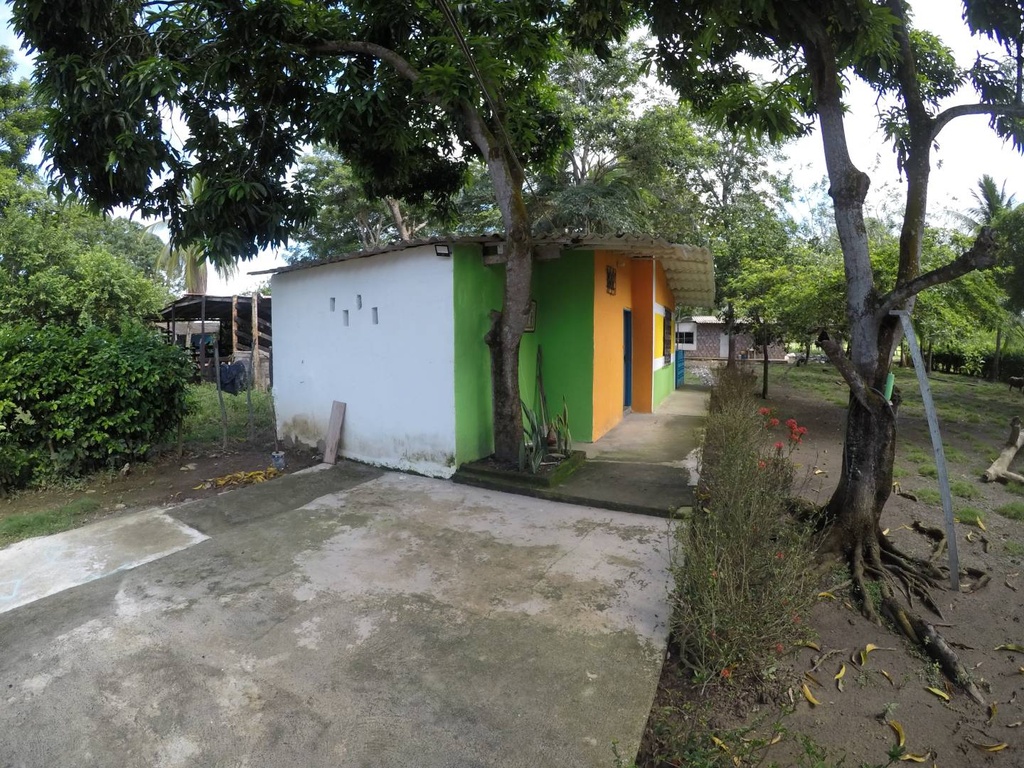 Foto 42