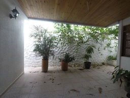 Imagen 8