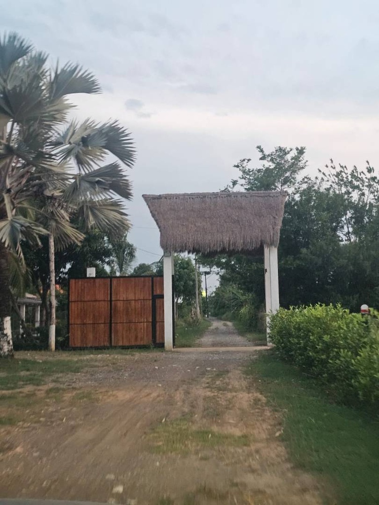Foto 2