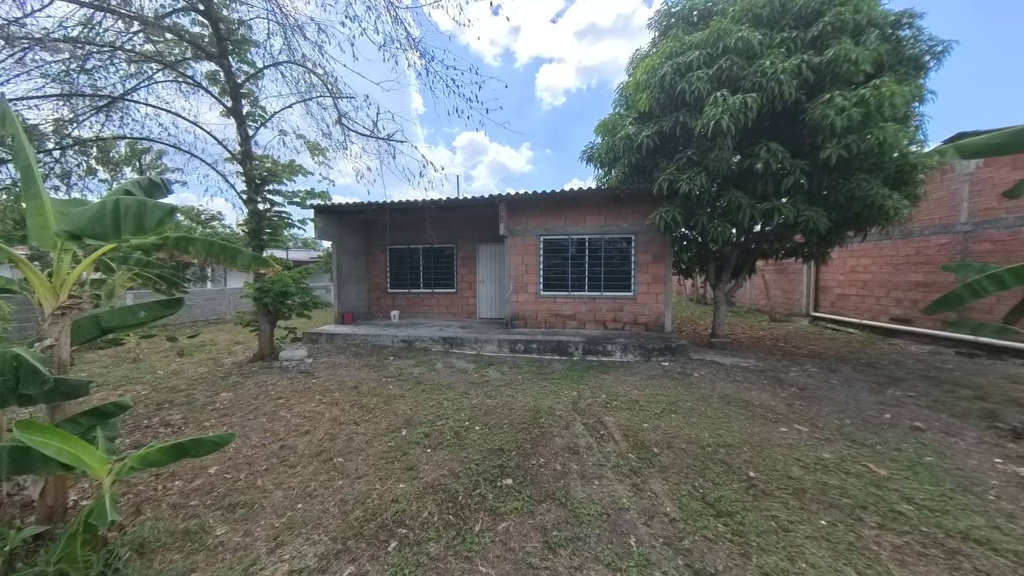 Foto 4