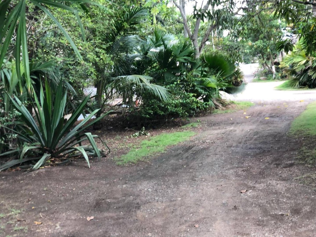 Foto 14