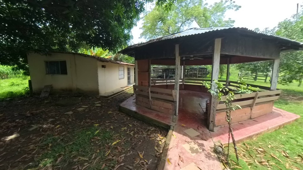 Foto 11