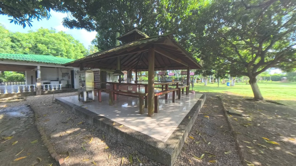 Foto 16