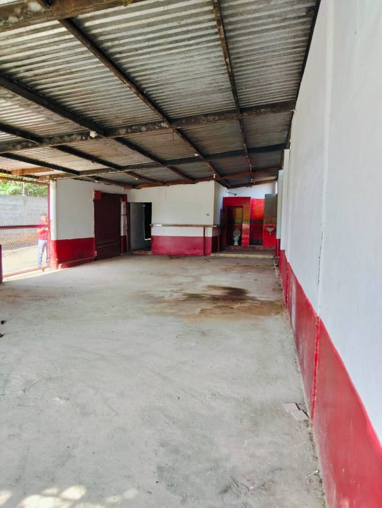 Foto 5