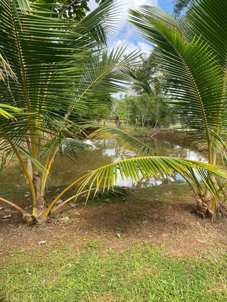 Foto 13