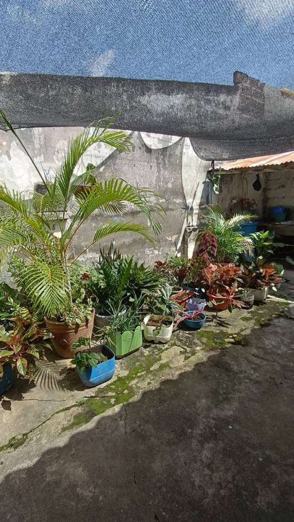 Foto 14