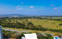 Imagen 6