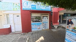 Imagen 5