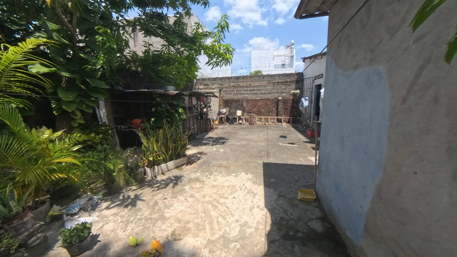 CASA