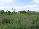 Venta de lotes