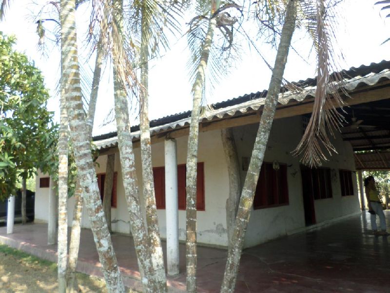 Venta de Finca vía al Sabanal