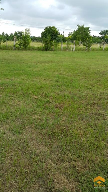 Vendo Lote En Monteria