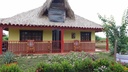 Vendo Finca En Ciénaga De Oro