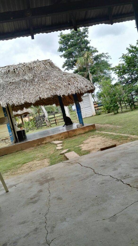 VENDO FINCA!!!