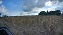 lote