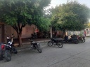 LOCAL