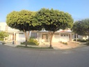 CASA EN VENTA EN EL BARRIO LA CASTELLANA