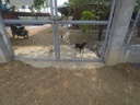 CASA CAMPESTRE EN VENTA