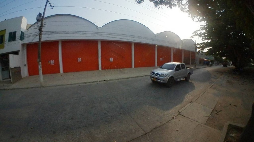 BODEGA