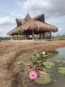 LOTE CAMPESTRE EN VENTA